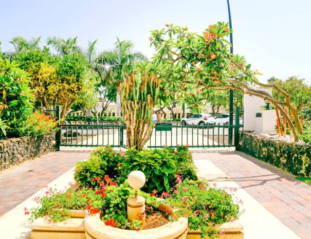 Entrada