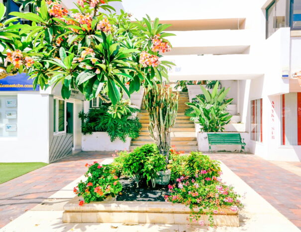 Entrada2